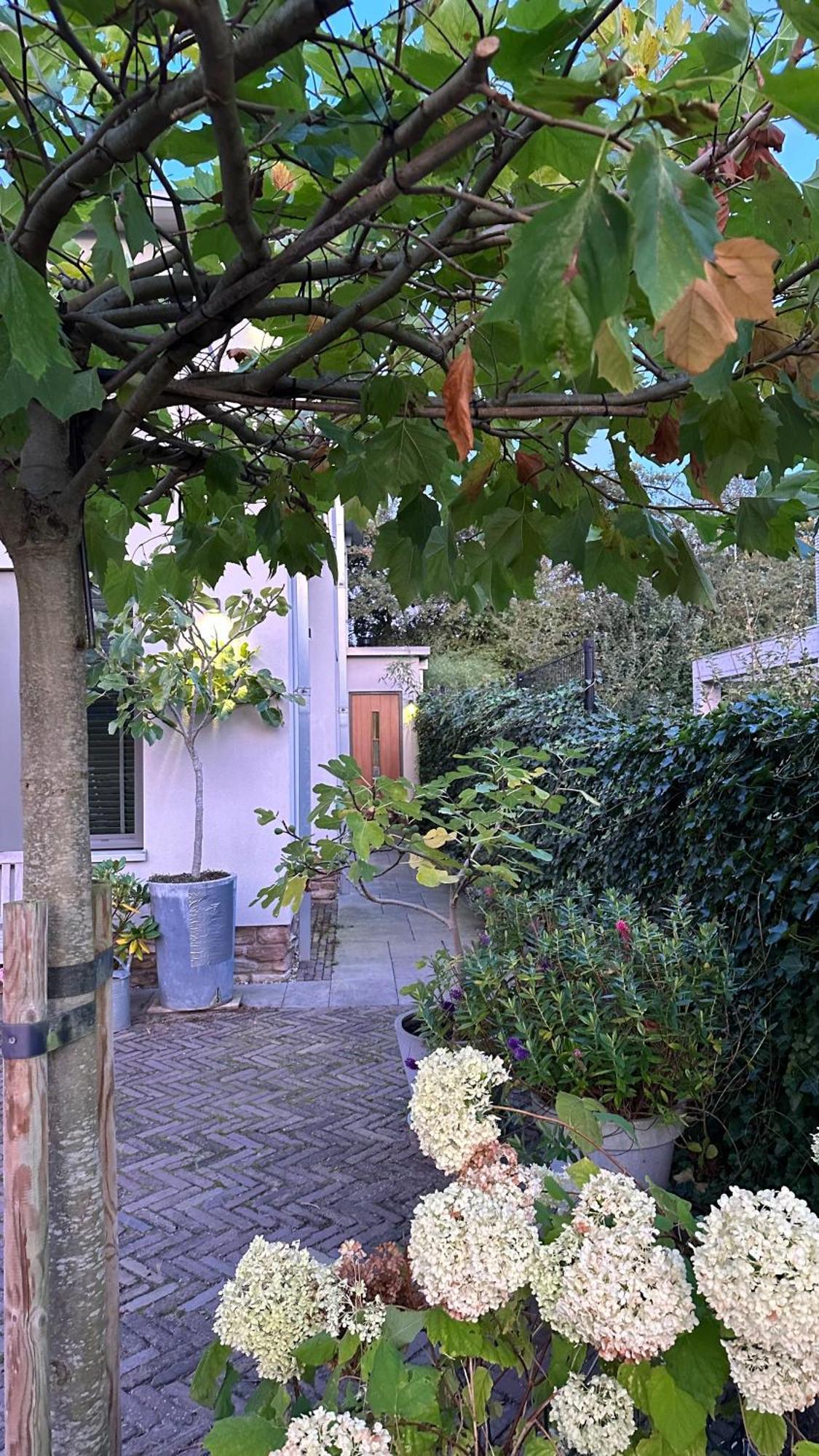 אמסטלבין Luxe B&B "In De Schulp", Ontspan En Geniet Van Comfort En Stijl מראה חיצוני תמונה